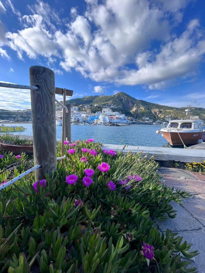 Casa Di Iorio Via Del Sole 1 Appartement Ischia Island Buitenkant foto